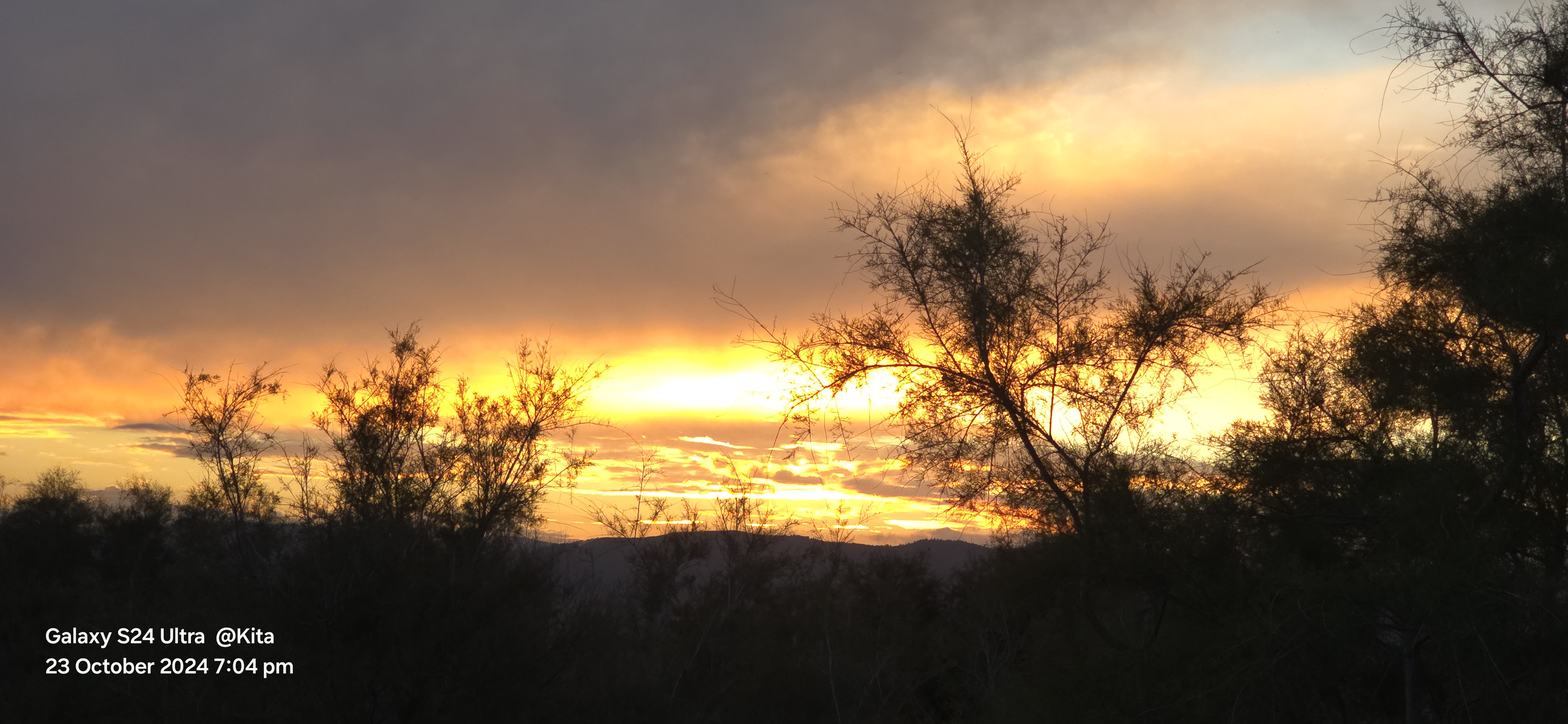 Fiery sunset over coastal trees
