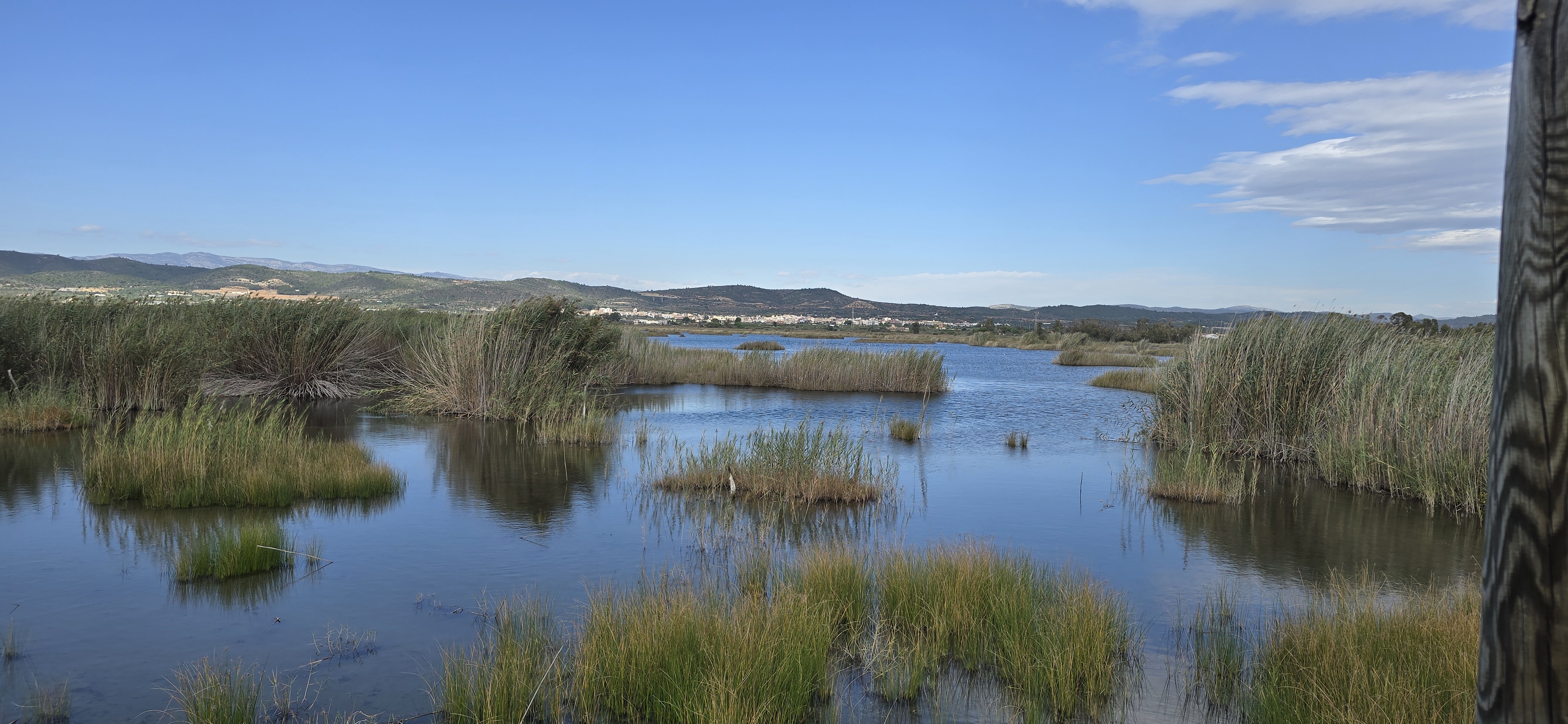 Wetland reflections near Torreblanca