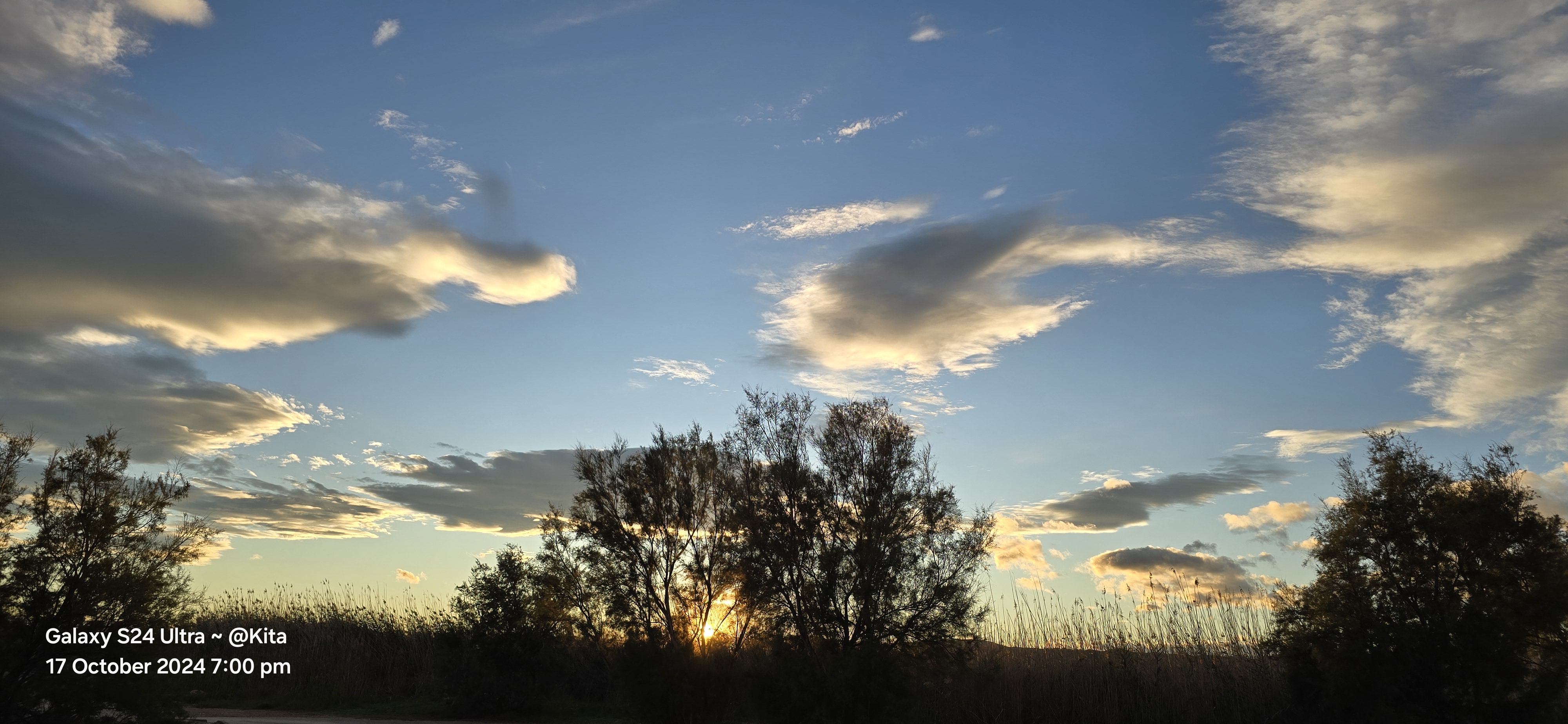 Golden clouds above Mediterranean trees